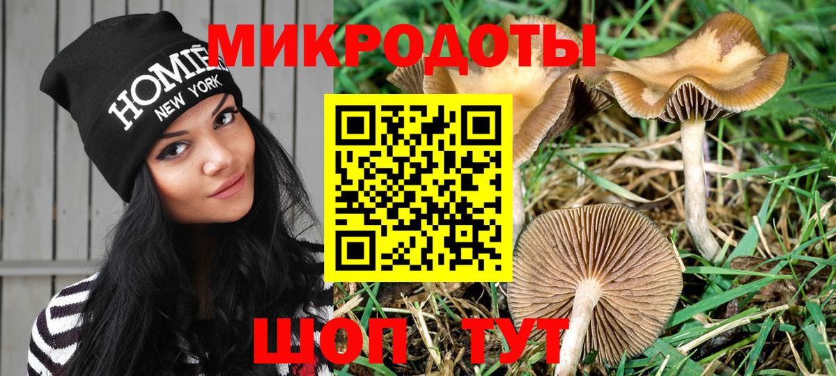 Копейск  Галлюциногенные грибы мухоморы  Вход с VPN 