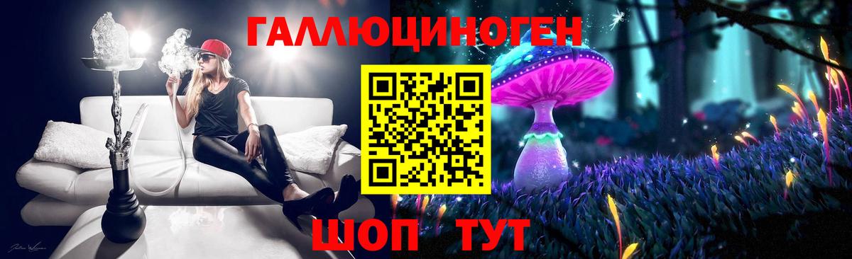 Галлюциногенные грибы Psilocybine cubensis Копейск
